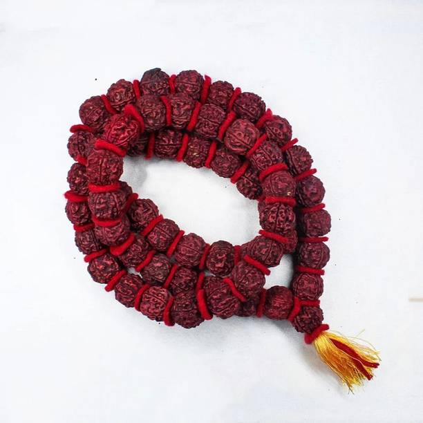 Artificial 2 Mukhi Rudraksha